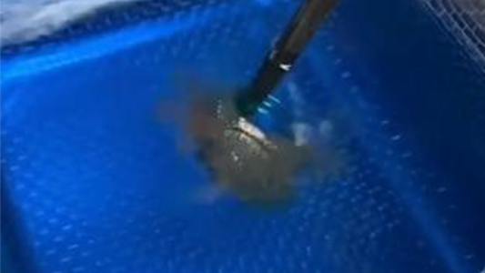 How We Brought the Shine Back: Ultrasonic Cleaning for Moissanite Hip-Hop Rings