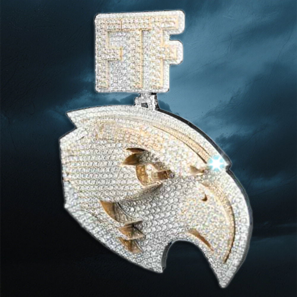 Iced out  Moissanite Custom 3 inch 3D Pendant
